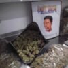 dutt pack flight weed